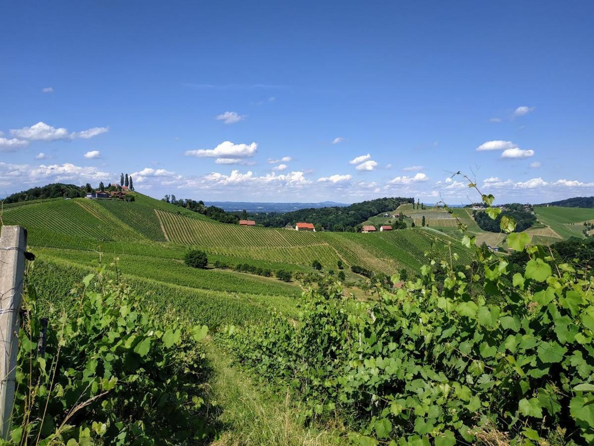 Das Weinberghaus Ratsch an der Weinstraße Exterior foto