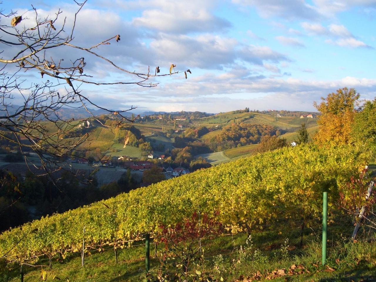 Das Weinberghaus Ratsch an der Weinstraße Exterior foto